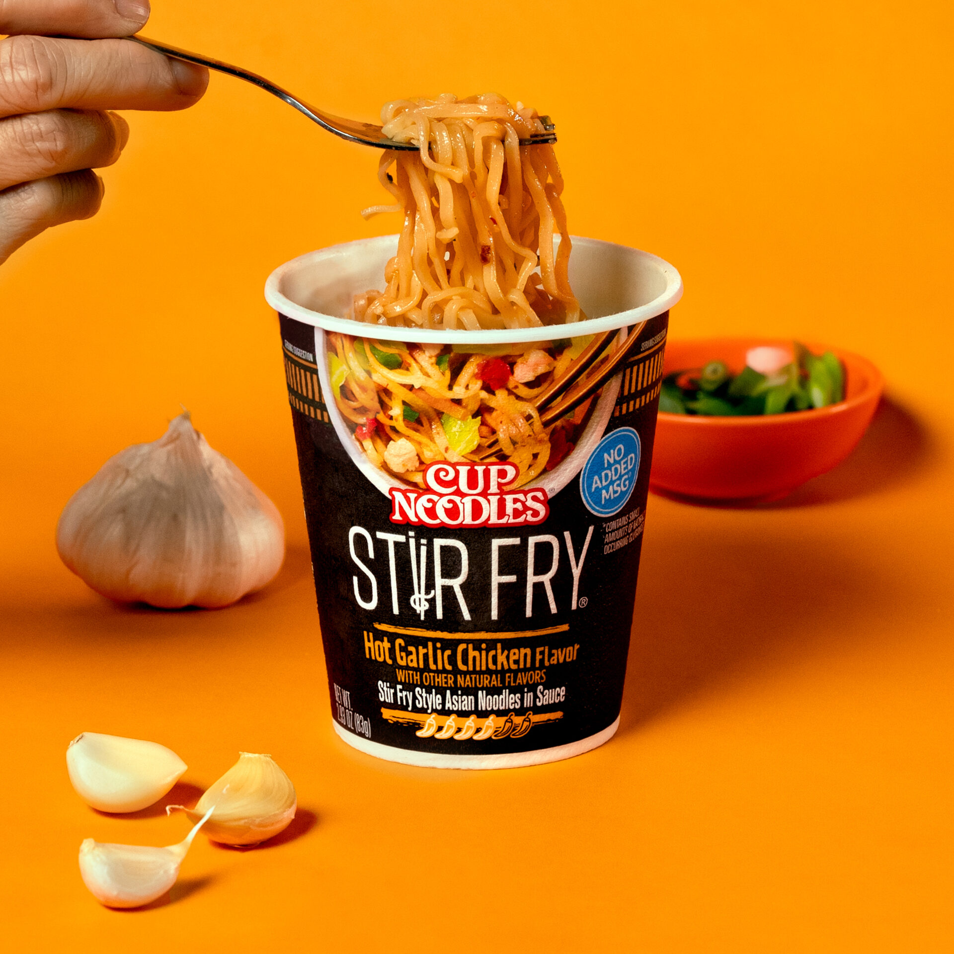 https://www.nissinfoods.com/wp-content/uploads/2023/03/23_NISSIN_Content_Product_CN_SF_HotGarlicChicken_SM_X1_0111_retouched_R2V1_3000x3000.jpg